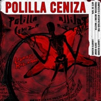 POLILLA CENIZA (feat. South Boomy) - Single - LAGARTO BIZARRO
