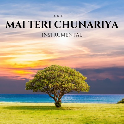 Mai Teri Chunariya (Instrumental)