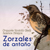 Zorzales de Antaño - Orquesta Rodolfo Biagi - Seamos Amigos