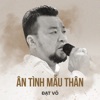 Ân Tình Mẫu Thân - Single