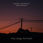 Satin Jackets & Small Black - Why Change The World