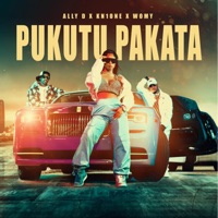 Pukutu Pakata - Single - Ally D, Kn1 One & Womy