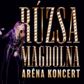 Aréna koncert (2023 Live) artwork