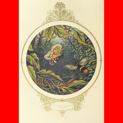 Unprecedented - Single