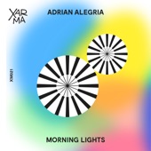 Morning Lights artwork