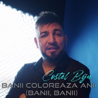 Banii Coloreaza Anii (Banii Banii) - Single - Costel Biju