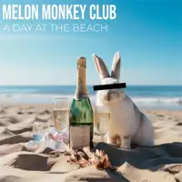 A Day At The Beach — Melon Monkey Club