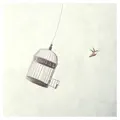 S'échapper