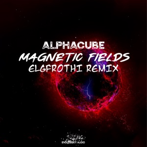 Magnetic Fields (Elgfrothi Remix) - EP