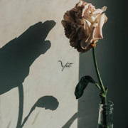 Yet (Instrumental) - draw close