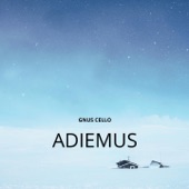 Adiemus artwork