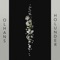 Holunder - Olhans lyrics