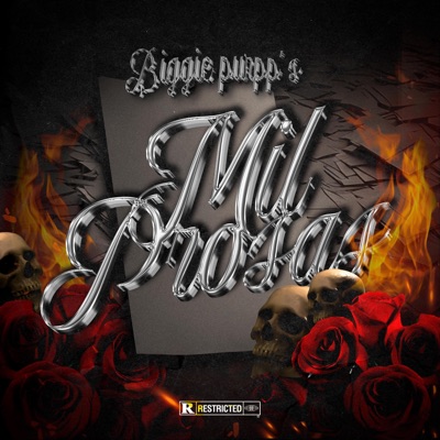 MIL PROSAS - Single