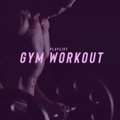 Playlist Gym Workout artwork
