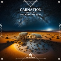 Carnation - Single - DULELUD, Alexandra Ilieva & Cafe De Anatolia