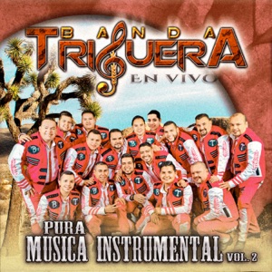 Pura Música Instrumental, Vol. 2