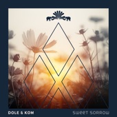 Sweet Sorrow (Radio Version) artwork
