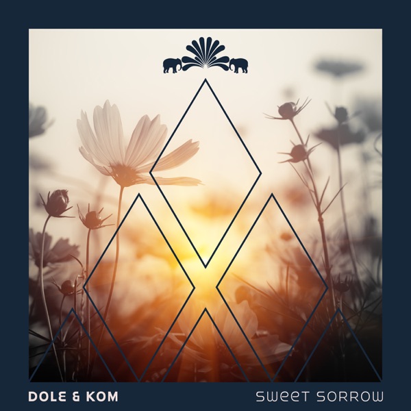 Sweet Sorrow - Single