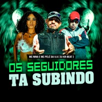 Os Seguidores Ta Subindo - Single - MC Nina, Mc Pelé Da V.A & DJ KR Beat
