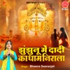 Jhunjhunu Mein Dadi Ka Dham Nirala - Single