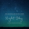 Night Sky (Chapman Stick and Guitar Version) - Single