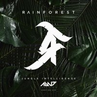 Jungle Intelligence - Single - Rainforest