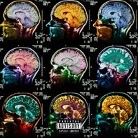 Pikcha - Single - Playboi SHVA