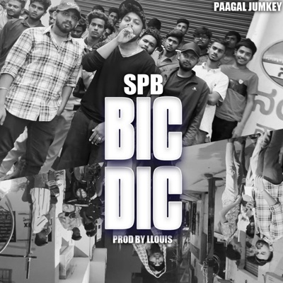Bic DIC - Single