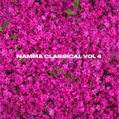 Namma Classical Vol 4 - Abhishek N Sridhar & S P Nagendra Prasad