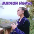 Madiun Ngawi