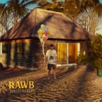 Rawb - Sous les palmiers