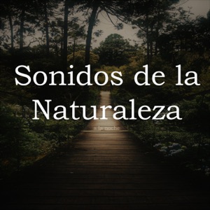 Sonidos de la Natureza a la Noche