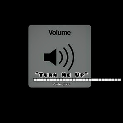 Turn Me Up Freestyle - Single