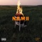 Figi (feat. N.E.M Bron & N.E.M YP) - N.E.M Rico lyrics