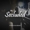 Secluded - DreamUnionBeats lyrics