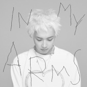 IN MY ARMS artwork