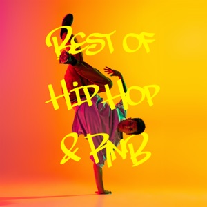 Drop It Low (feat. Chris Brown)