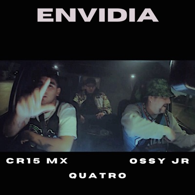 E N V I D I A - Single