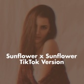Sunflower x Sunflower (TikTok Version) artwork