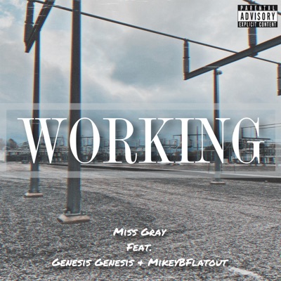Working (feat. Genesis Genesis & MikeyBFlatout) - Single
