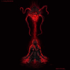 SENTINEL INHUMAN