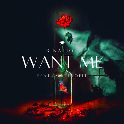 Want Me (feat. Mattyofit) - Single