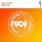 BRKLYN (Extended Mix) - Dan Stone lyrics