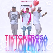 TikTokerosa (feat. Yamal) artwork