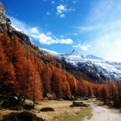 Jardines May - Let's Go To the End of the World Together