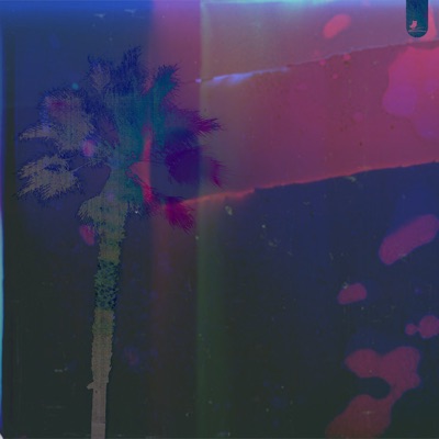 Low Key Palm Trees - Single