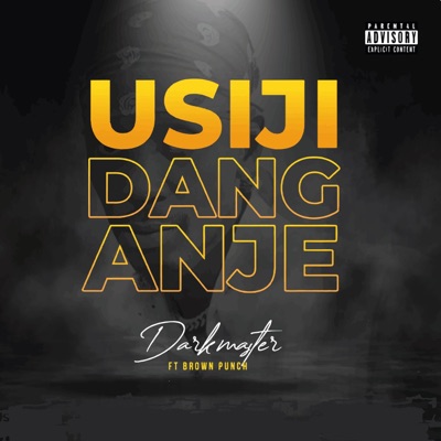 Usijidanganye (feat. Brown punch) - Single