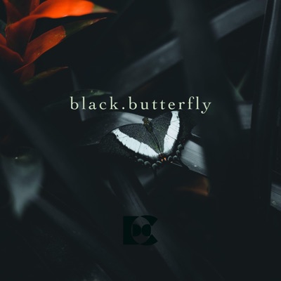 black.butterfly - Single