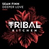 Deeper Love (Extended Mix) cover art