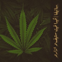 Sativa (feat. Stevee & Azaro) - Single - Vidv